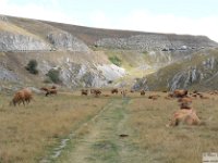 2026-09-20 Monte Bolza 238